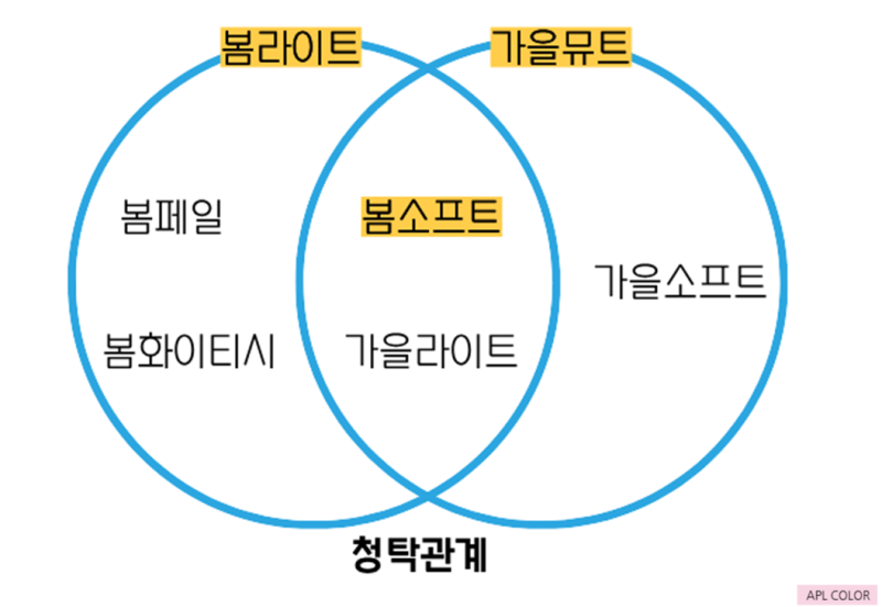 봄라이트·봄소프트·가을뮤트의 청탁 관계